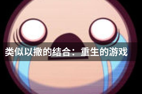 类似以撒的结合的游戏_以撒的结合一样的游戏_以撒的结合相关的游戏