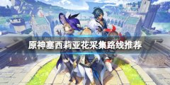 原神塞西莉亚花采集地点在哪 塞西莉亚花采集路线推荐