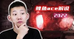 鲤鱼解说ace2022