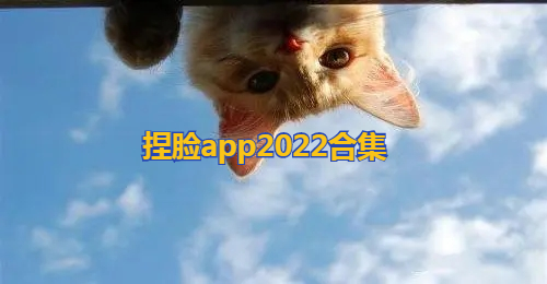 捏脸app官方下载2022_二次元捏脸软件手机版_捏脸软件排行