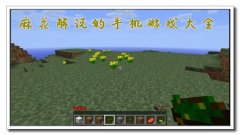 麻花解说游戏合集