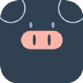 小猪翻译器app安卓版下载 v1.0.1