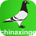 中国信鸽信息网app下载苹果官方版 v20220125