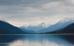 免费高清无广告追剧APP合集