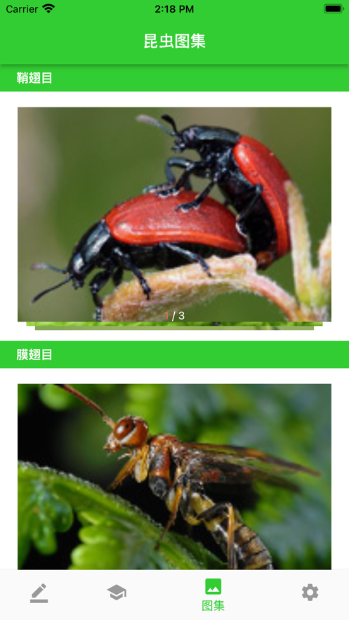 虫笔app下载安卓版图片1