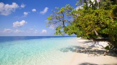 手机视频壁纸软件大全