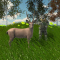 动物狩猎模拟器游戏安卓版 v1