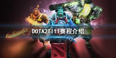 DOTA2TI11什么时候开始 TI11赛程介绍