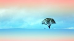 手机壁纸制作软件app合集