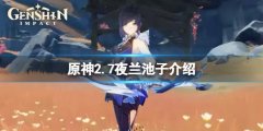 原神夜兰池子四星人物是什么 2.7夜兰池子介绍