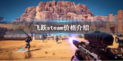 leapsteam价格是多少 steam价格介绍