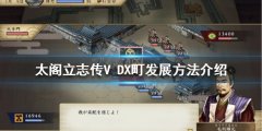 太阁立志传V DX町如何发展 町发展方法介绍