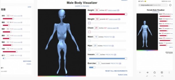 输入三围模拟体型的app_身体数据分析app_百度女性身材可视化