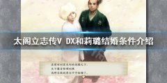 太阁立志传V DX如何和莉璐结婚 和莉璐结婚条件介绍