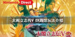 太阁立志传V DX怎么踢馆 踢馆玩法介绍
