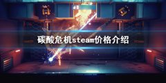碳酸危机多少钱 steam价格介绍