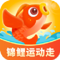 锦鲤运动走健身app手机版下载 v1.1.3