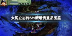 太阁立志传V DX珍贵品有什么 新增珍贵品推荐一览