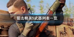 狙击精英5武器有哪些 武器列表一览