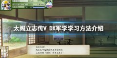 太阁立志传V DX军学在哪学 军学学习方法介绍