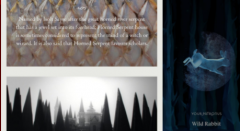 霍格沃茨分院中文版合集