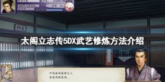 太阁立志传V DX武艺怎么修炼 武艺修炼方法介绍
