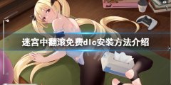迷宫中翻滚补丁怎么安装 游戏免费dlc安装方法介绍