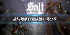 盐与献祭如何达成白金成就 白金成就心得分享
