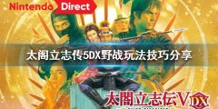 太阁立志传5DX野战怎么打 野战玩法技巧分享