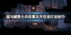 盐与献祭天空龙怎么打 士兵位置及天空龙打法技巧