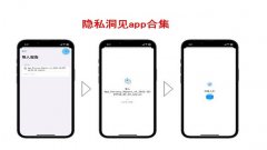 隐私洞见app合集