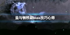 盐与献祭怎么刷boss 刷boss技巧心得