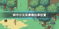 林中小女巫曼德拉草在哪 曼德拉草位置