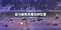 盐与献祭雪山法师在哪里 恶魔法师位置
