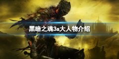 黑暗之魂3a大是谁 a大人物介绍