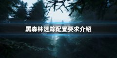 黑森林迷踪配置要求是什么 配置要求介绍
