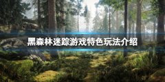 黑森林迷踪好玩吗 游戏特色玩法介绍