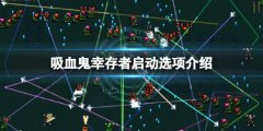 吸血鬼幸存者启动选哪个 启动选项介绍