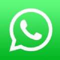 whatsapp messenger apk安卓手机版下载 v2.21.243