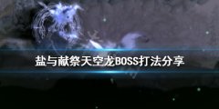 盐与献祭天空龙怎么打 天空龙BOSS打法分享