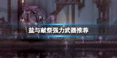 盐与献祭强力武器推荐 好用武器有哪些