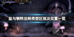 盐与献祭法师位置在哪找 法师类型区别及位置一览