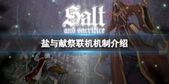 盐与献祭怎么联机 联机机制介绍