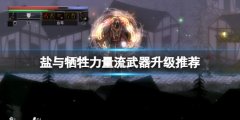 盐与献祭力量流用什么武器 力量流武器升级推荐