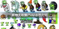 植物大战僵尸ch6什么意思 ch6意思介绍