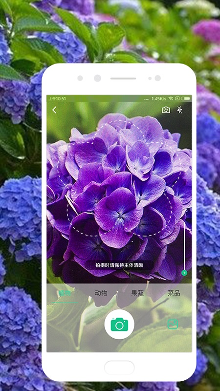 识物app软件下载安装图片1