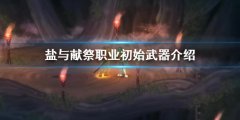 盐与献祭职业初始武器介绍 职业初始武器有哪些