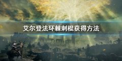 艾尔登法环棘刺棍怎么获得 棘刺棍获得方法