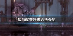 盐与献祭怎么升级 升级方法介绍