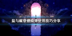 盐与献祭燃烧弹如何使用 燃烧弹使用技巧分享